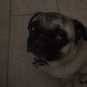 Meet your Posher, Lynda